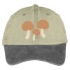 Two Tone Pigment Dyed Cap Thumbnail