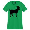 Women's Softstyle Tee Thumbnail