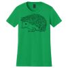 Women's Softstyle Tee Thumbnail