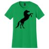 Women's Softstyle Tee Thumbnail