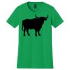 Women's Softstyle Tee Thumbnail